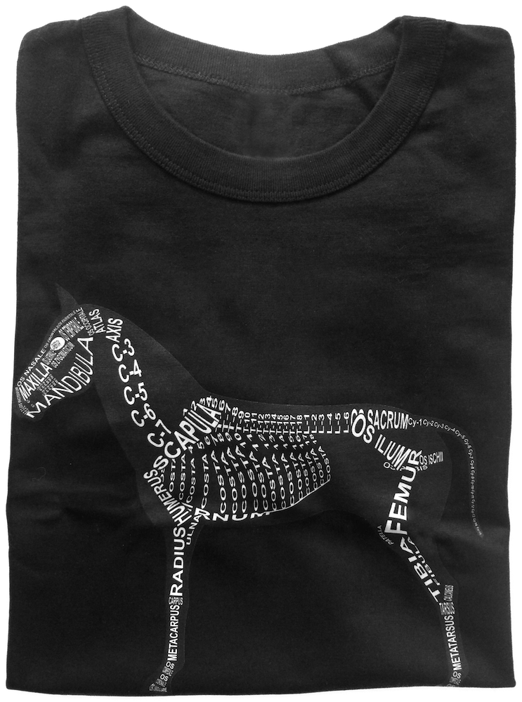Wort-Anatomie: Zusammengelegtes T-Shirt für Tierarzt Pferd - Skelett Anatomie