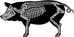 Zu Produkten mit Motiv Skelett mit Anatomie vom Schwein
