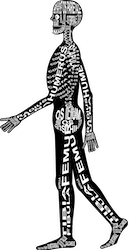 Zu Produkten mit Motiv Skelett mit Anatomie eines Menschen