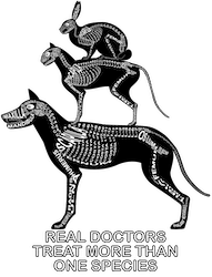 Zu Produkten mit Motiv Real Doctors treat more than one Species mit Skeletten von Heimtieren