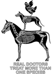 Zu Produkten mit Motiv Real Doctors treat more than one Species mit Skeletten von Kleintieren