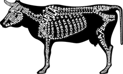 Zu Produkten mit Motiv Skelett mit Anatomie vom Rind
