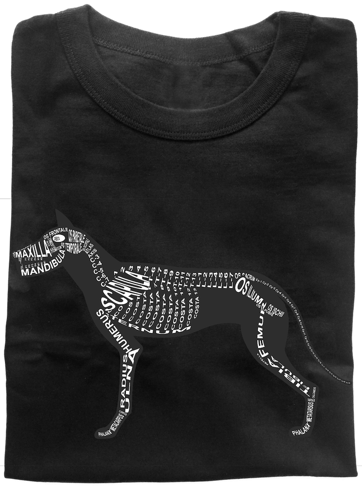 Wort-Anatomie: Zusammengelegtes T-Shirt für Tierarzt Hund - Skelett Anatomie