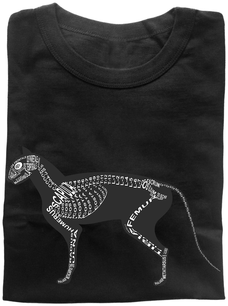 Wort-Anatomie: Zusammengelegtes T-Shirt für Tierarzt Katze - Skelett Anatomie