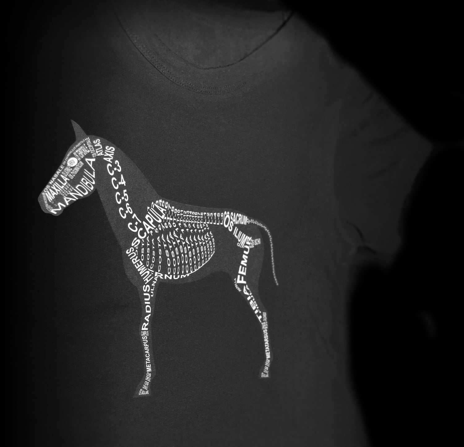 Schwarzes T-Shirt mit anatomischen Motiv vom Pferd mit Skelett für Tierärzte und Pferde-Fans