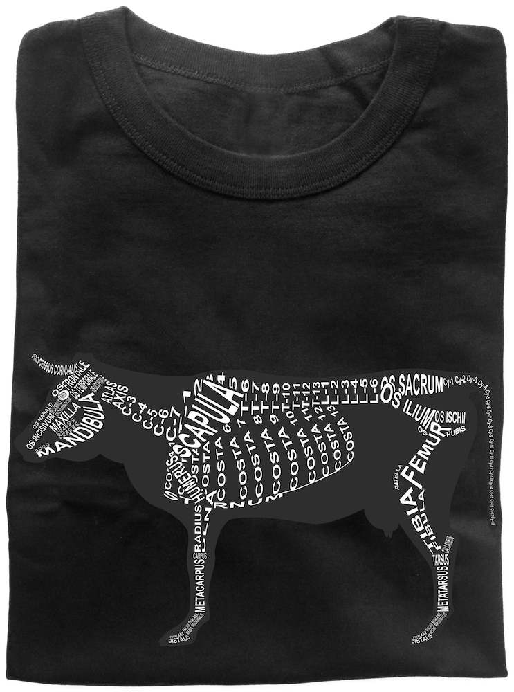 Wort-Anatomie: Zusammengelegtes T-Shirt für Tierarzt Rind - Skelett Anatomie