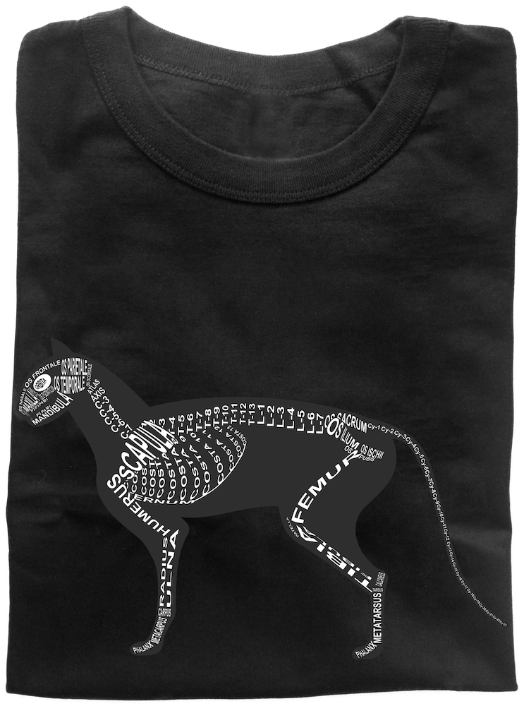 Shirt zusammengelegt Katze