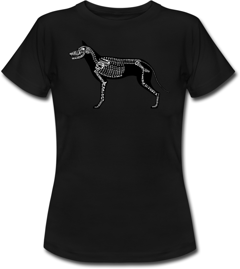 T-Shirt des Beagle-Skeletts für Tierärzte und Tiermedizin-Studenten - Wort Anatomie