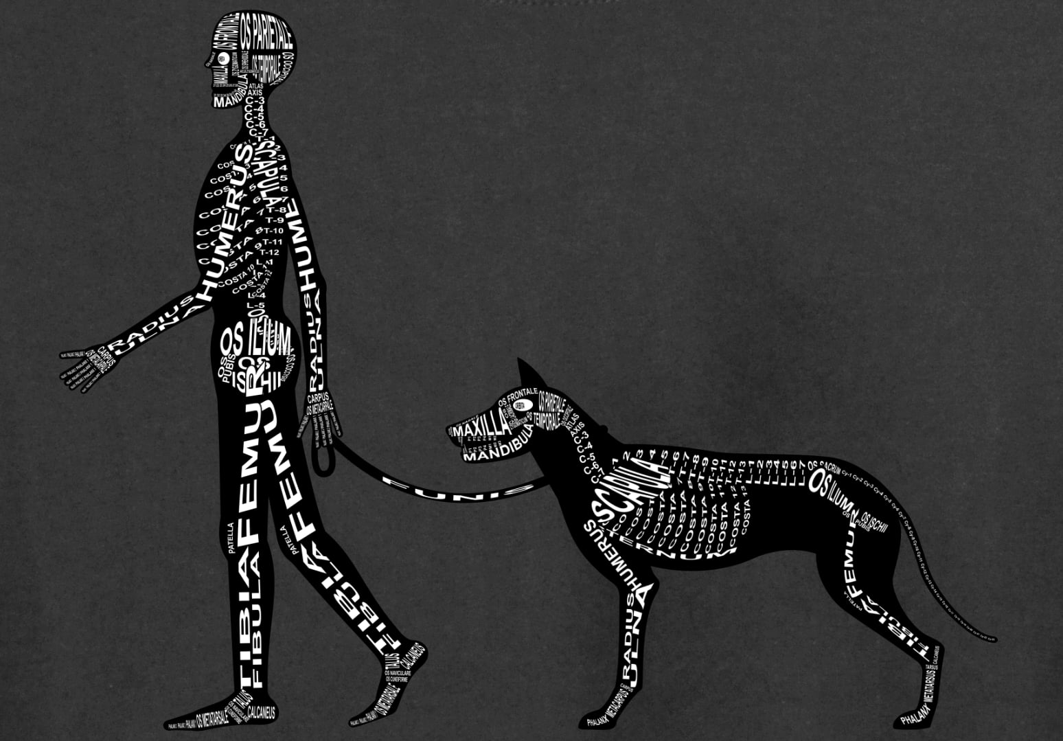 Motiv Mensch und Hund: Skelett mit anatomischen Bezeichnungen der Knochen für Arzt, Tierarzt und Medizin-Student - Wort Anatomie